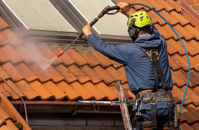 Démoussage et hydrofuge de toiture à Vieux-Manoir